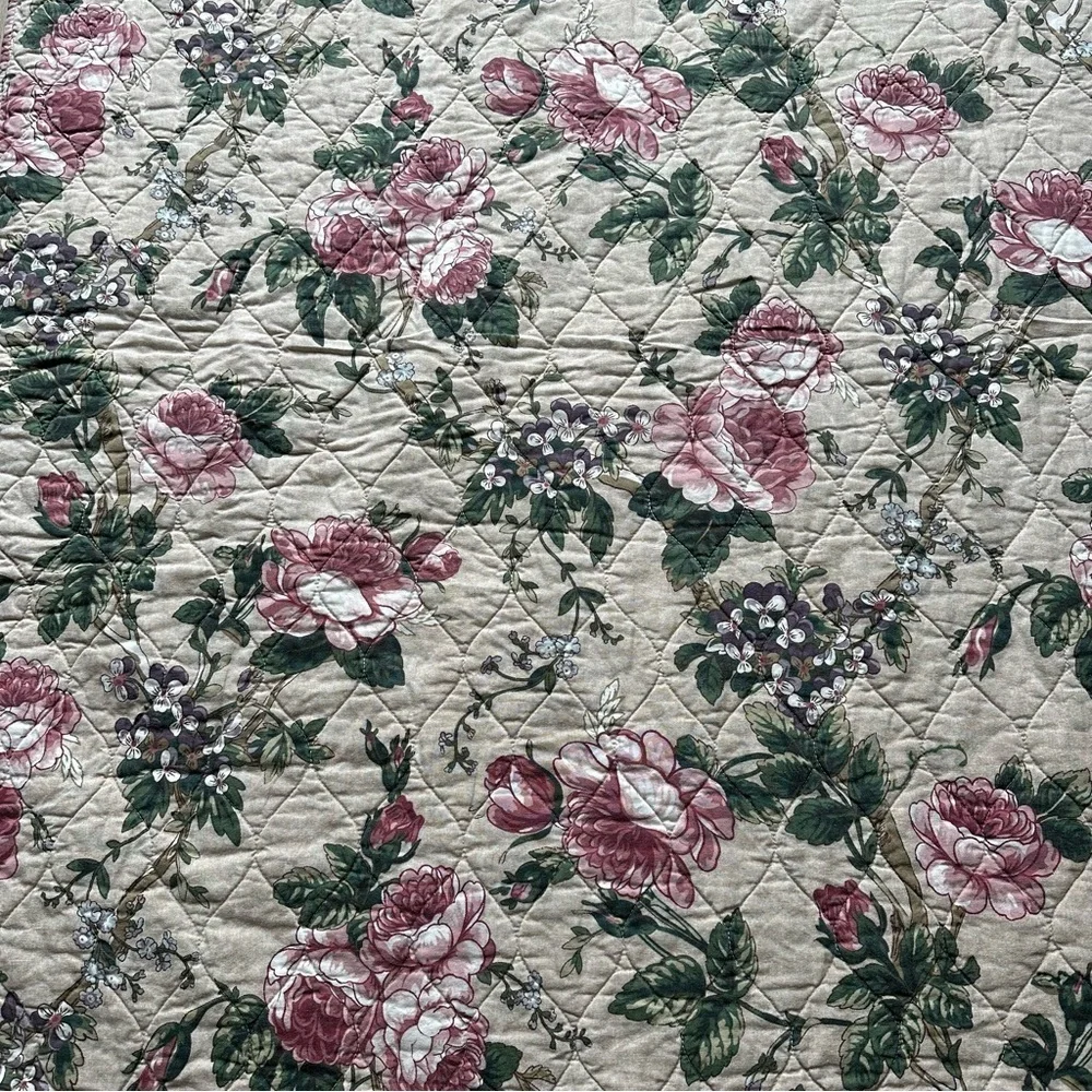 Pottery Barn Adelise Reversible Cotton Linen Floral Quilt Queen